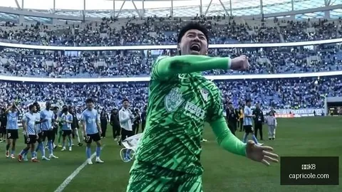 国家开发银行河北分，凯发K8下载，行前行长常思勇审查调查全面解析